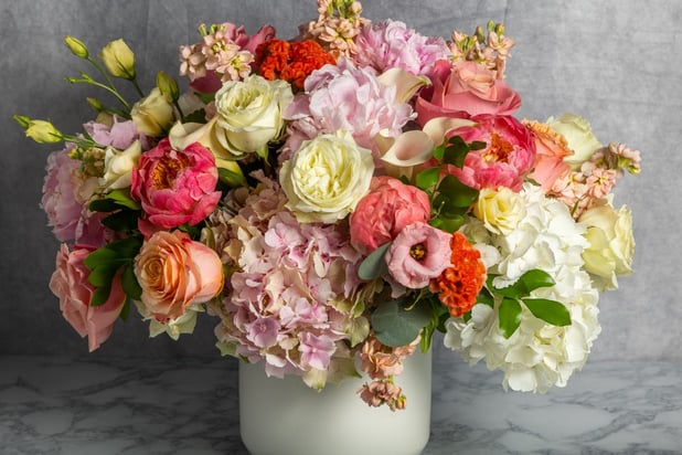 A Complete Guide of the Best Summer Flowers